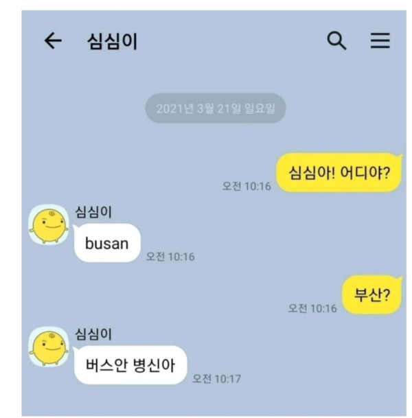 심심이의 근황