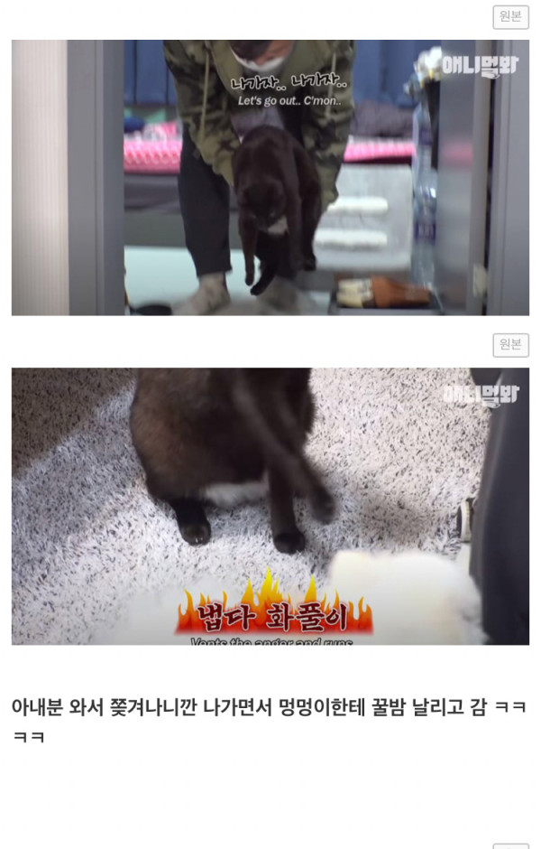 도어락 비번을 미친듯이 누르는 XX