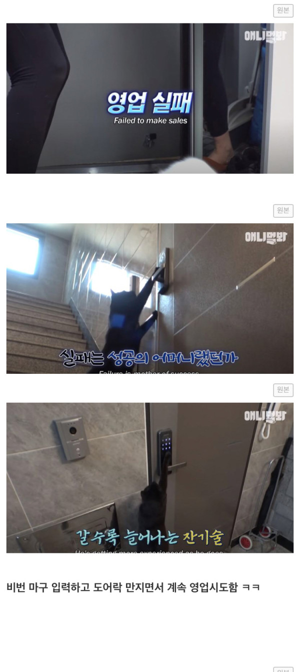 도어락 비번을 미친듯이 누르는 XX