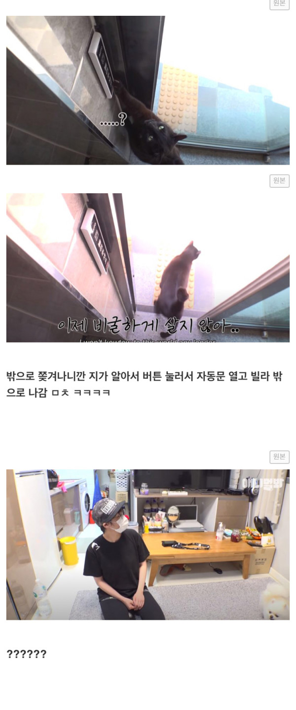 도어락 비번을 미친듯이 누르는 XX