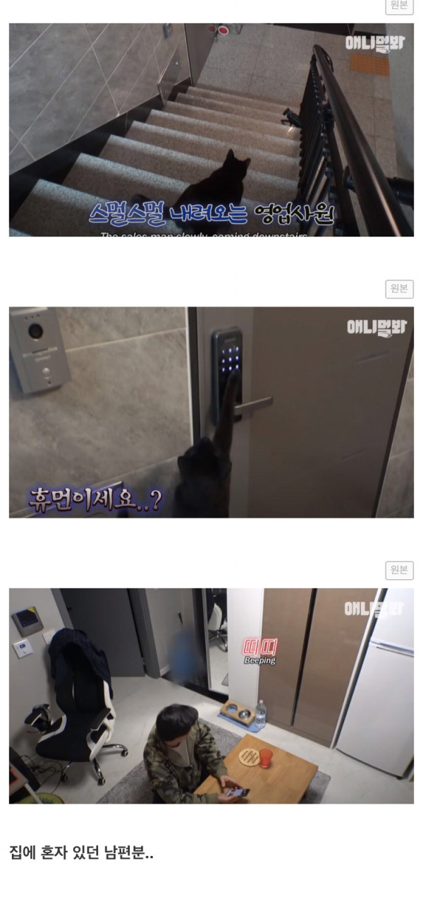 도어락 비번을 미친듯이 누르는 XX