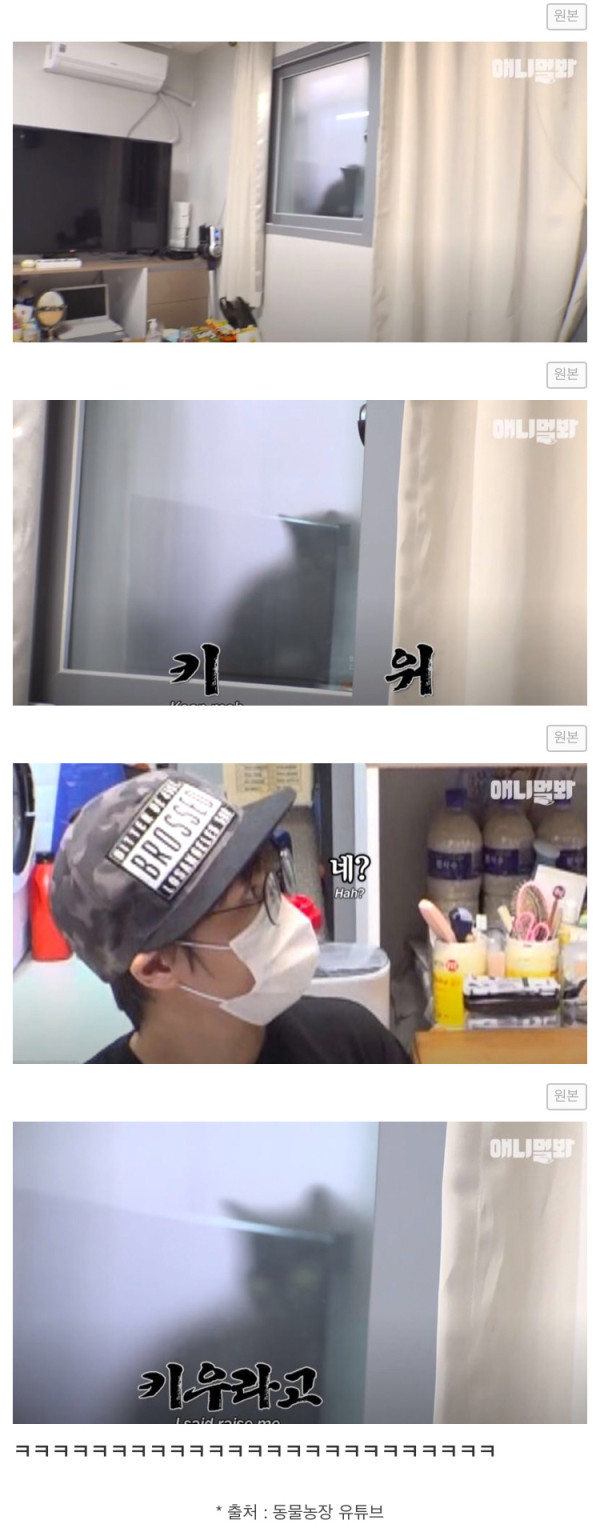 도어락 비번을 미친듯이 누르는 XX