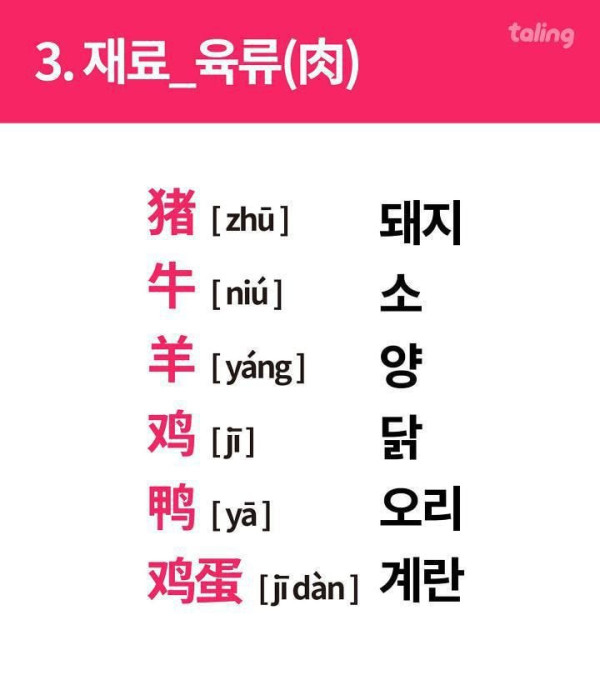 중국 음식점에서 메뉴 선택 팁!