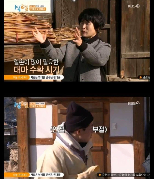 대마가 무서운 1박 2일 딘딘
