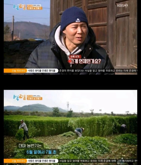 대마가 무서운 1박 2일 딘딘