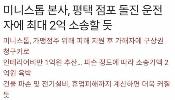 2억 벌금 내게된 편의점 난동 30대맘
