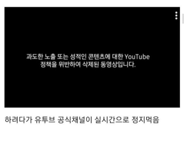 유트브 실시간 방송중 정지 먹음!