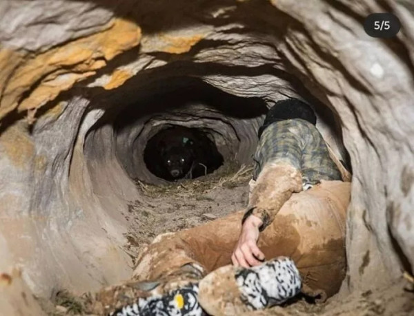 동면하는 곰을 깨워버린 남자