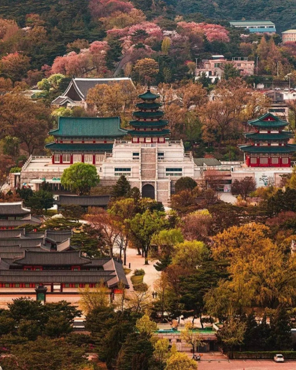해외에서 화제라는 한국 풍경 사진