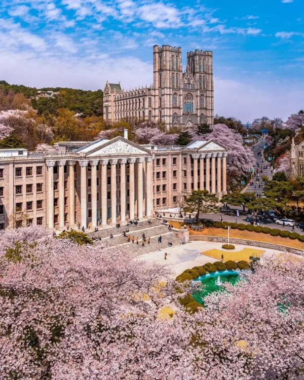 해외에서 화제라는 한국 풍경 사진