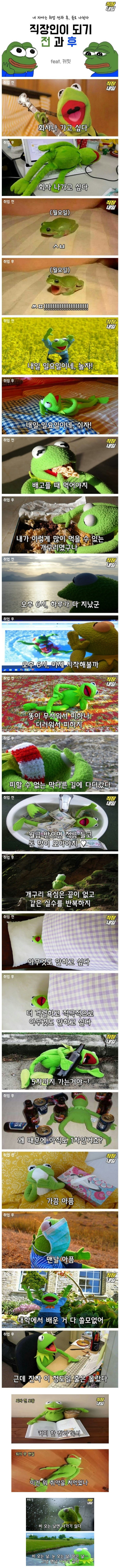 취업 전과 후