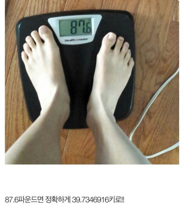 코디를 부탁한 158cm 40kg 판녀