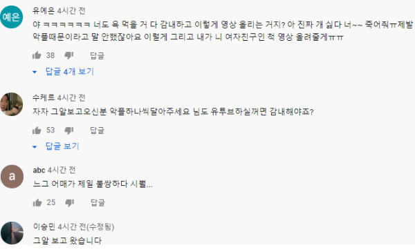 그것이 알고싶다(설리편)에 나온 유투버 상황