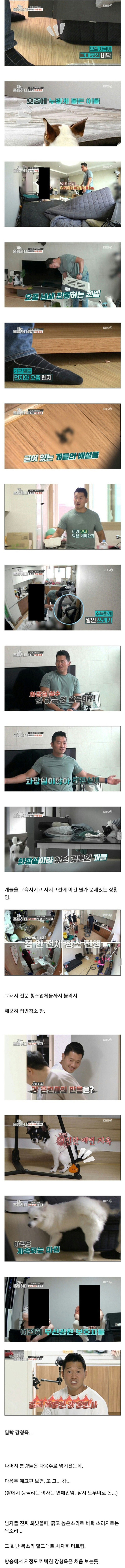 개빡친 강형욱