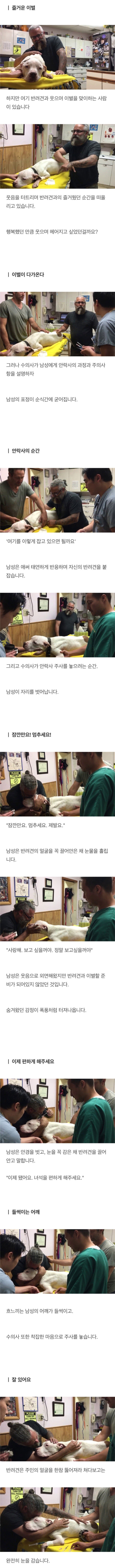 죽어가는 반려견 앞에서 웃는 주인