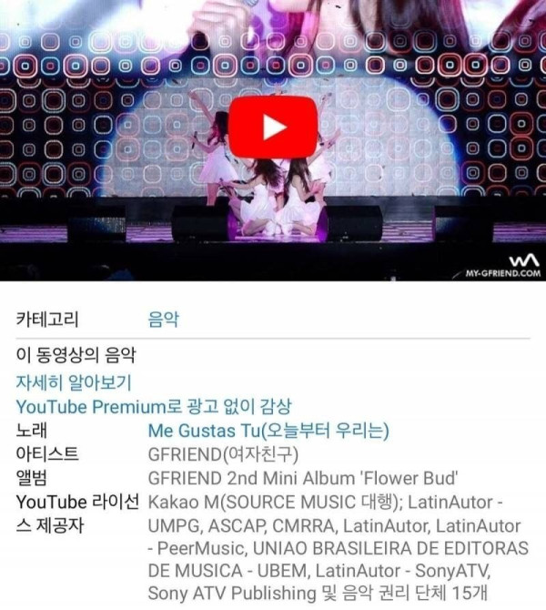 50만 구독자수를 보유한 유투버 채널 수익