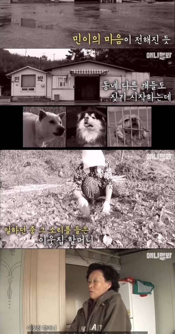 주인의 생명을 지킨 멍멍이