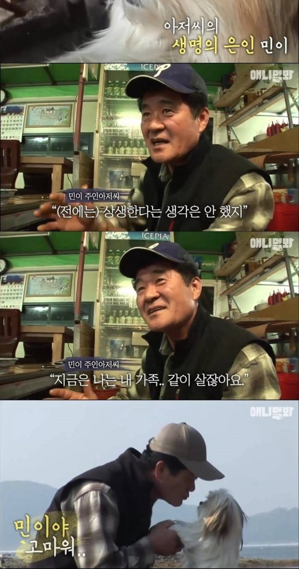 주인의 생명을 지킨 멍멍이