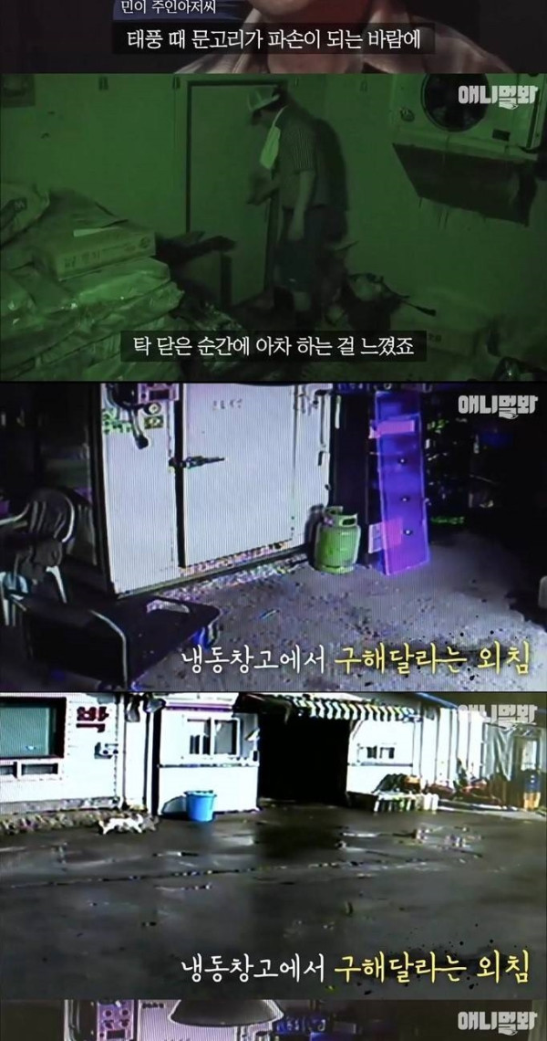 주인의 생명을 지킨 멍멍이