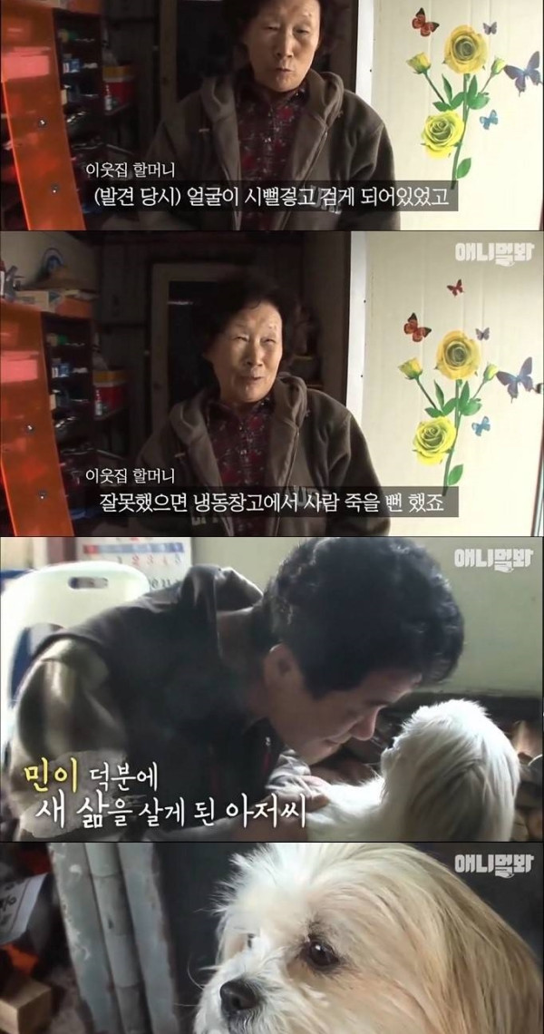 주인의 생명을 지킨 멍멍이