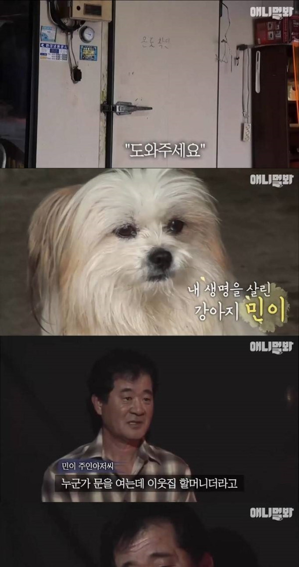 주인의 생명을 지킨 멍멍이