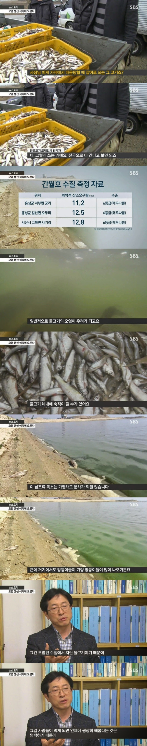 오염된 생선이 매운탕으로...