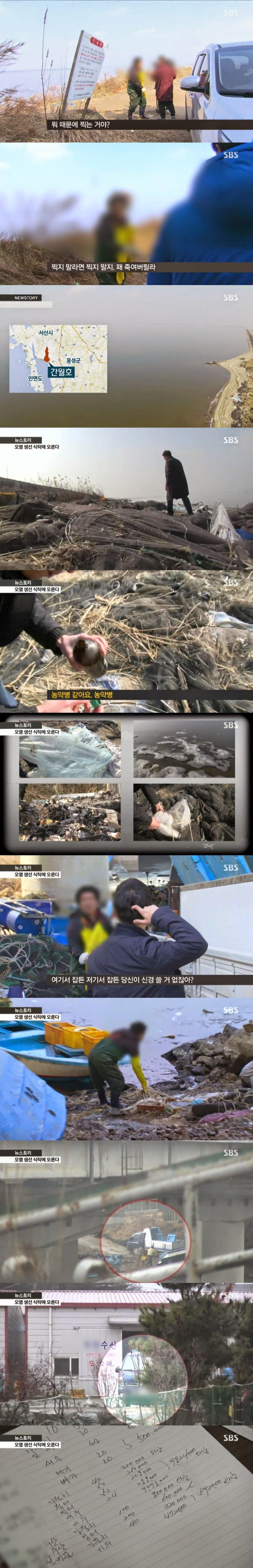 오염된 생선이 매운탕으로...