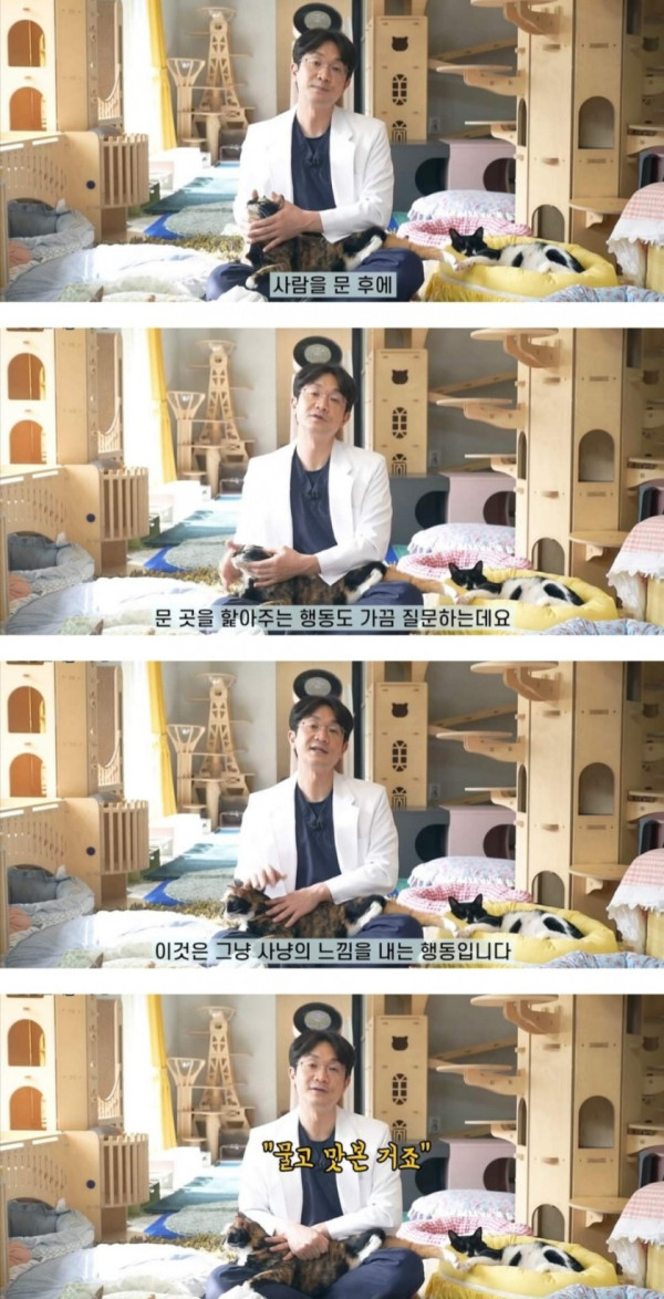 고양이가 문 후에 핧아주는 이유