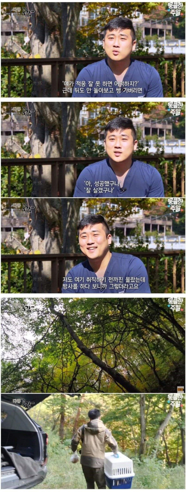 삵을 자연에 방생하는 수의사