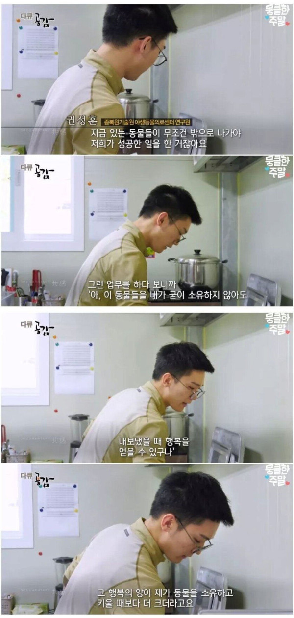 삵을 자연에 방생하는 수의사