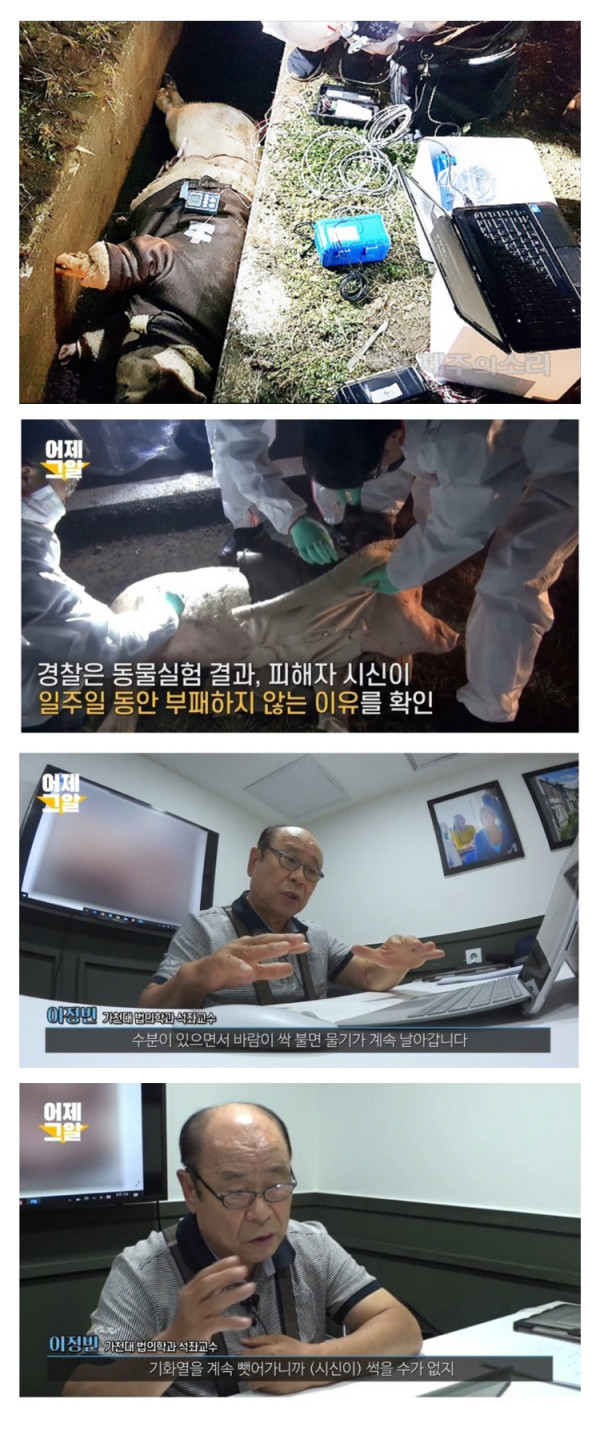 제주 보육교사 살인사건