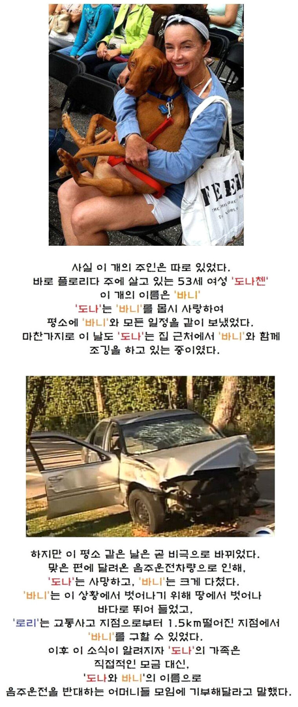 피 흘리며 헤엄쳐 온 생물체