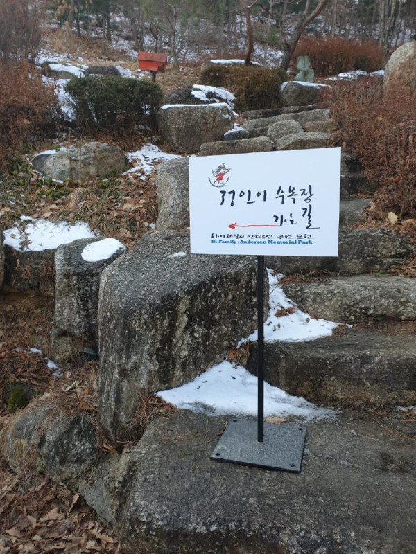 누군가가 만들어준 정인이의 수목장