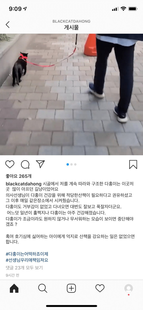 낚시터에서 유기된 고양이를 기르게된 박수홍 근황