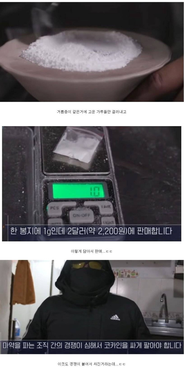 마약카르텔 직접 취재한 KBS 특파원들