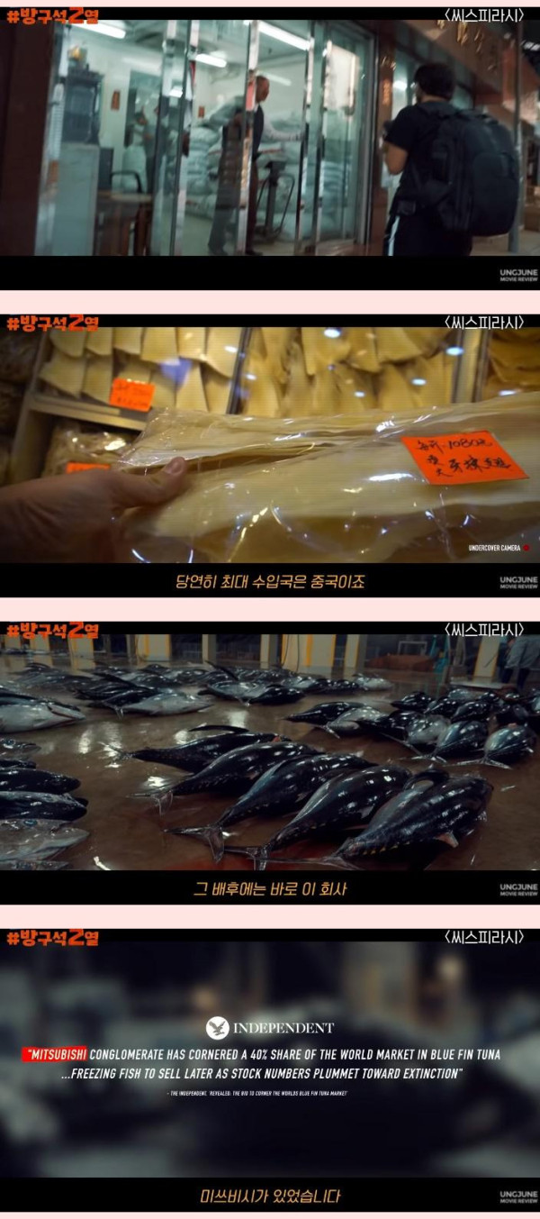 일본 돌고래학살의 배후 기업