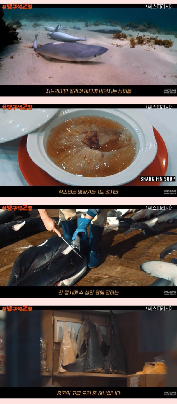 일본 돌고래학살의 배후 기업