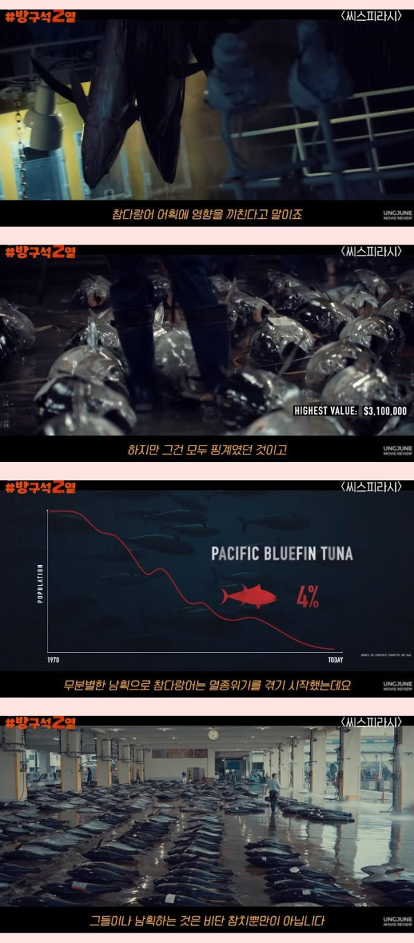 일본 돌고래학살의 배후 기업