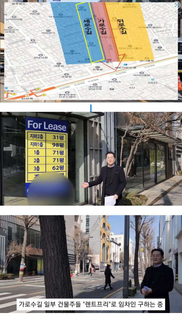 가로수길 상권 근황