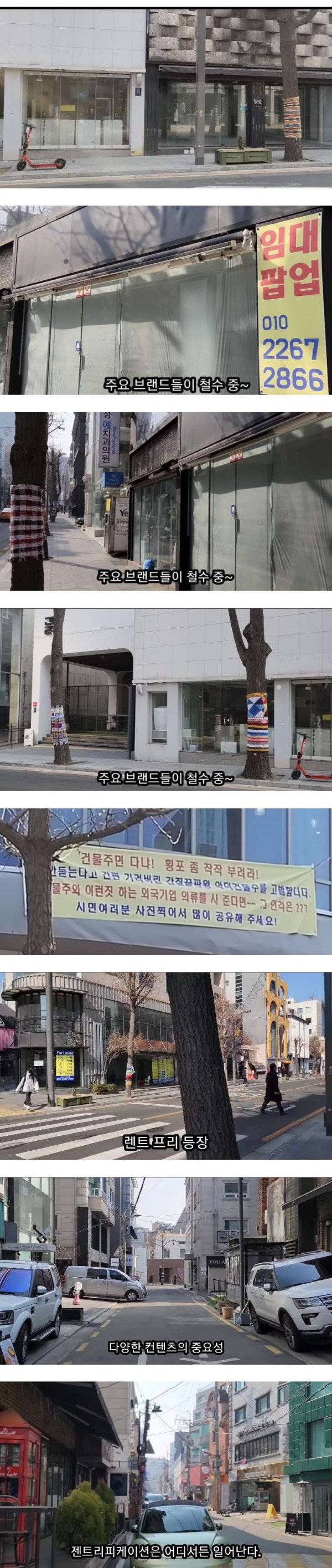 가로수길 상권 근황