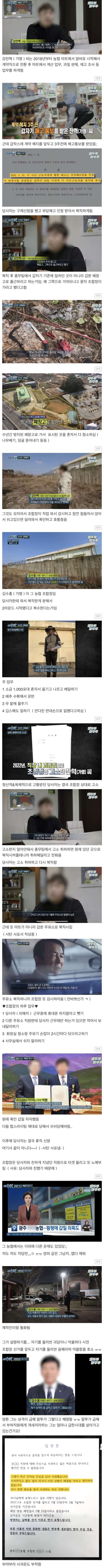 더글로리 농협버전