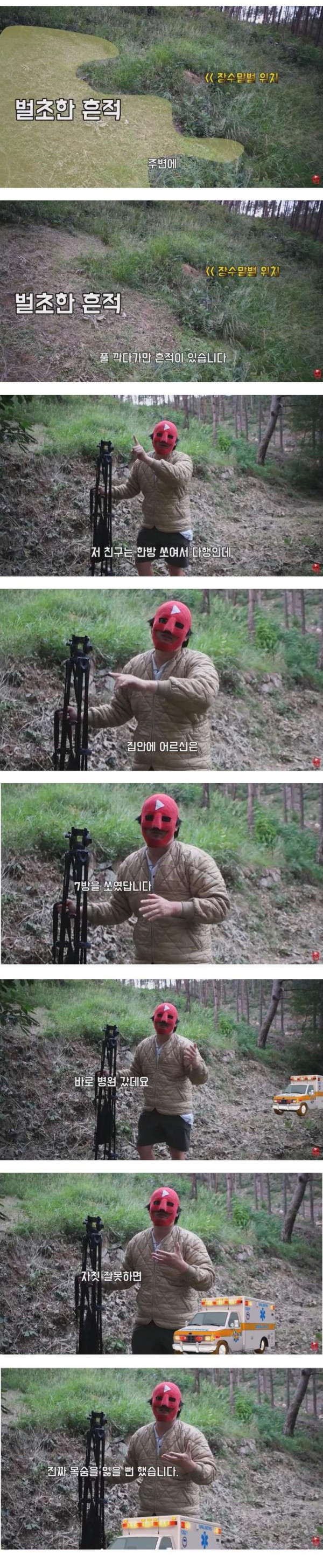 장수말벌에 쏘인 상처