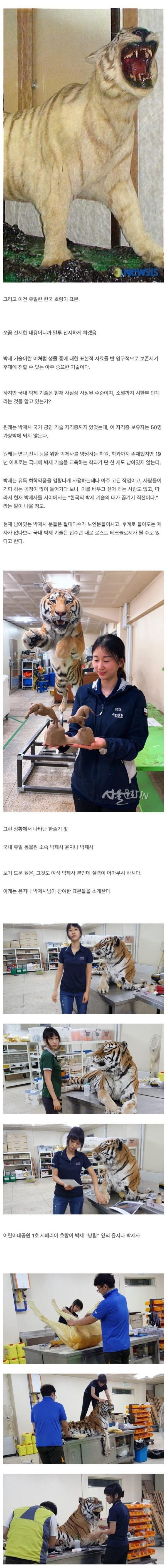 국내에서 소멸되어 간다는 박제 기술