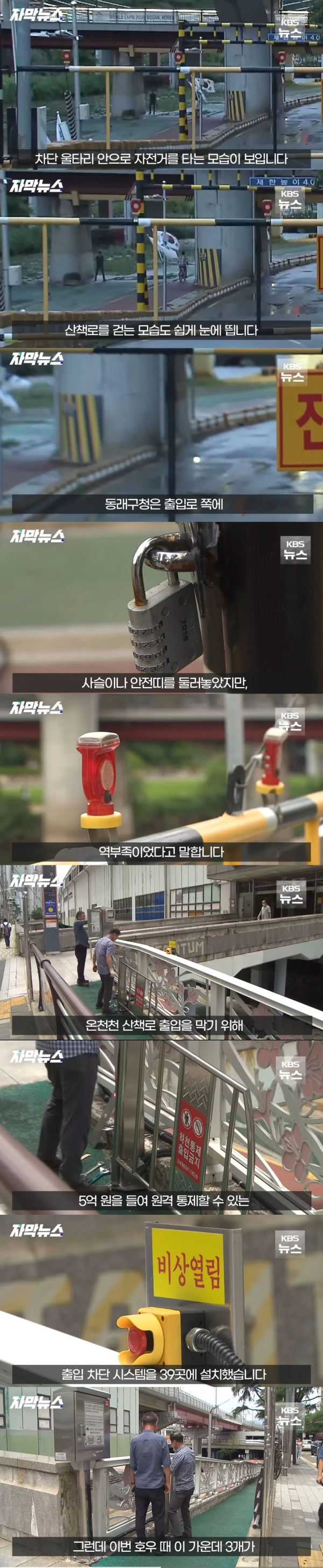 목숨건 산책은 제발 그만!