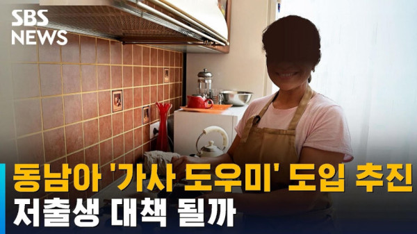 동남아 가사도우미 쓰자는 저출산 대책에 대한 사람들 반응