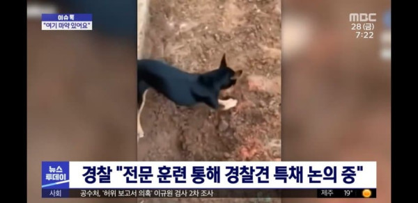 개는 배신 안 해