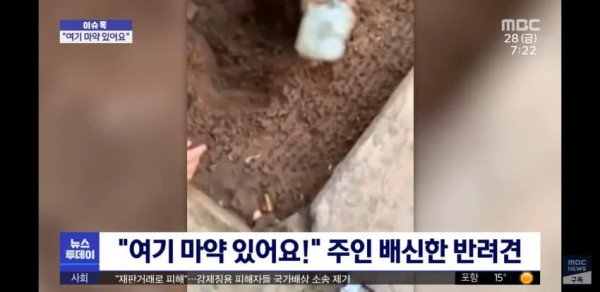개는 배신 안 해