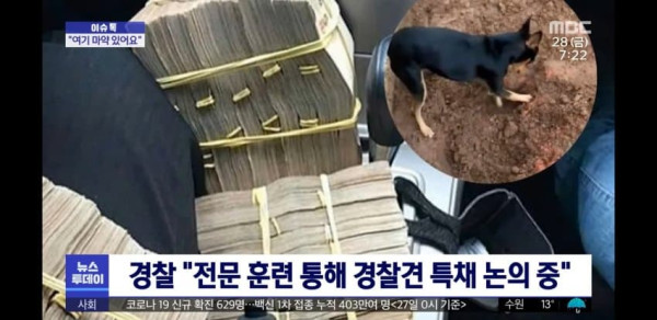 개는 배신 안 해