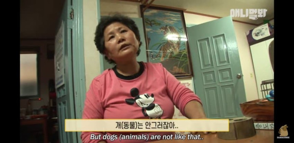 개는 배신 안 해