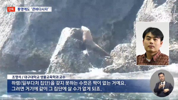 한국에서 100년만에 발견된 동물